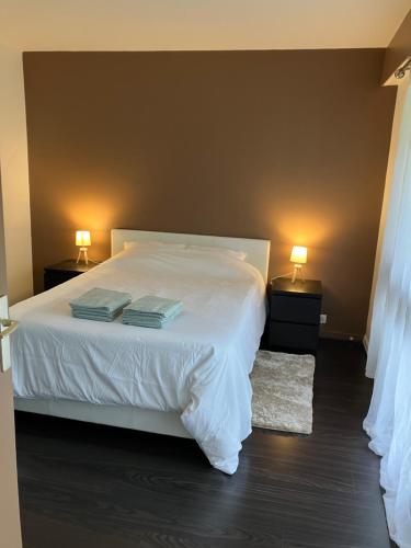 Photo de la galerie de l'établissement PARAÍSO - Logement entier proche Paris tout équipé avec parking, à Franconville