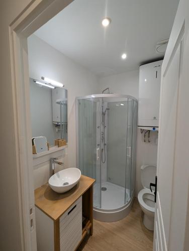 une salle de bain avec une douche, un lavabo et des toilettes dans l'établissement Duplex77 Near Disney, à Quincy-Voisins
