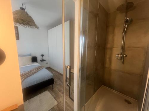 Cette chambre comprend un lit et une salle de bains pourvue d'une douche. dans l'établissement Maison neuve 4 chambre avec jacuzzi, aux Pennes-Mirabeau