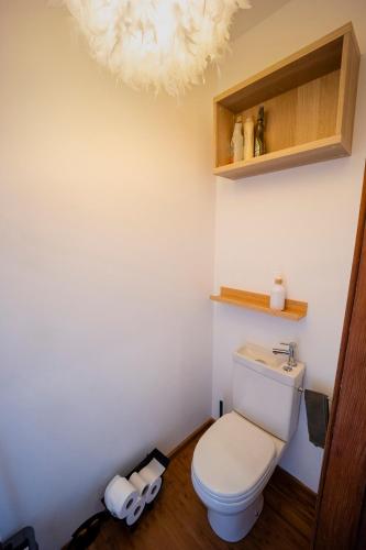 a bathroom with a white toilet in a room at Au petit mouton in Fernelmont