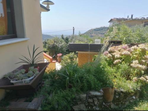 Foto dalla galleria di Il Giardino Di Maria a Montignoso