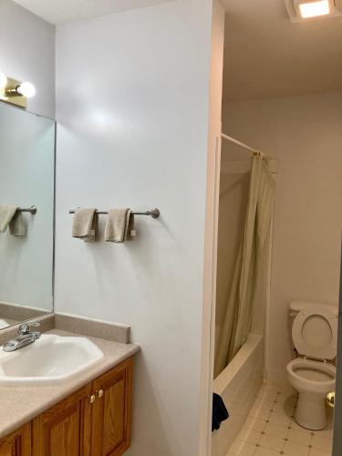 a bathroom with a sink and a toilet and a shower at Motel 99 in Grand Forks