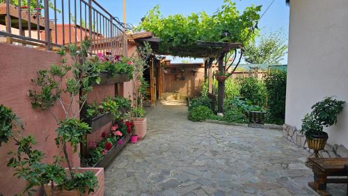 a courtyard with a bunch of plants and flowers at Къща за гости АВЛИГА in Varna City
