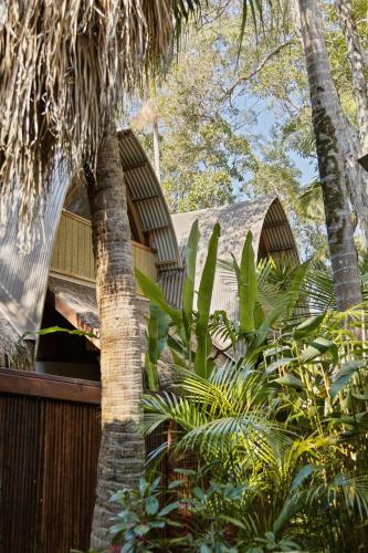 a house with a palm tree in front of it at Garden Burees in Byron Bay