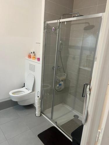une salle de bain avec une douche en verre et des toilettes dans l'établissement Appartement T3 Haut de standing paris, à Clichy