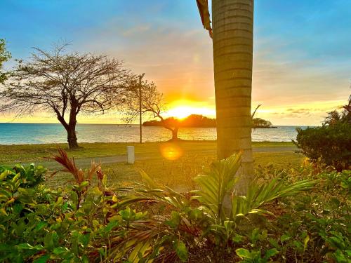 a sunset over the ocean with a palm tree at Casa Mire-Lee, Seaside Serenity at Negril 7 miles Beach, Point Village in Negril