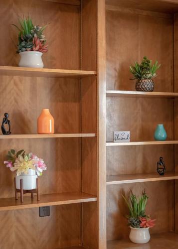 a book shelf with some plants in it at Beautiful Texas Ranch House, Game Room & Minigolf in San Antonio
