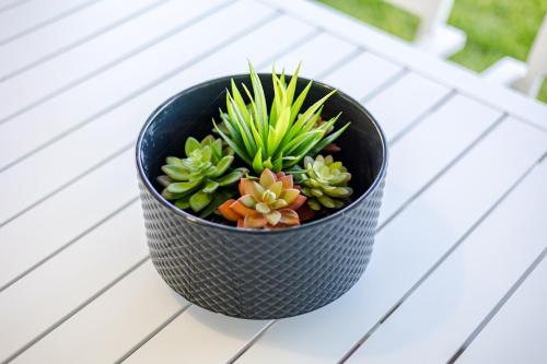 a plant in a black pot sitting on a table at StayAU Magnificent Lakefront Villa Stunning Views in Point Cook
