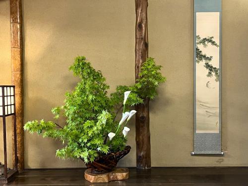 a plant in a vase sitting next to a wall at Charoku Bekkan in Miyazu