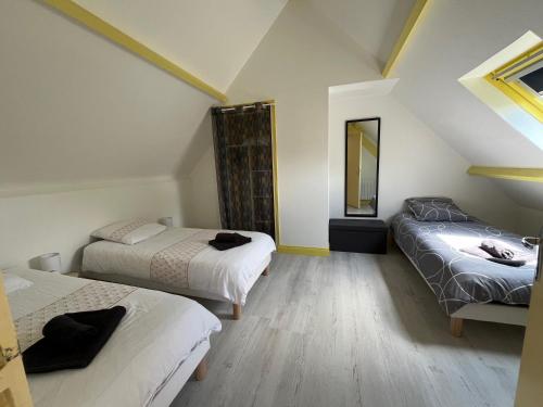 Cette chambre mansardée comprend 2 lits et un miroir. dans l'établissement Gîte la Villemain, à Saint-Broladre