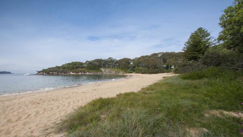 a sandy beach with trees and the ocean at Koorawatha in Pearl Beach