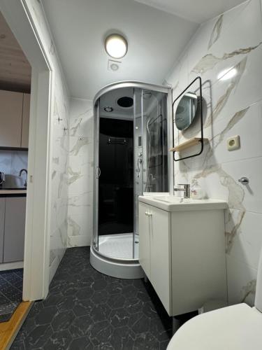 a bathroom with a shower and a toilet and a sink at Kopa Cabana in Palanga