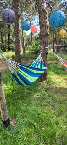 a hammock hanging from two trees in a park at Hellendoornse boshuisje Tranquilo in Haarle