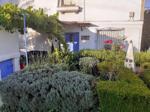 Foto Zikoinaren Txokoa ( El Txoko de la cigüeña ) 2