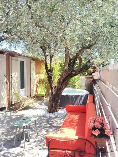 Magnifique Villa aux Oliviers trentenaires