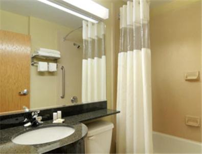 Vonios kambarys apgyvendinimo įstaigoje Microtel Inn & Suites by Wyndham Saraland