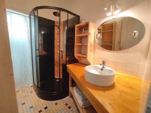 GrignolsにあるMaison de campagne sur 2 hectaresの洗面台、シャワー、鏡を備えたバスルーム
