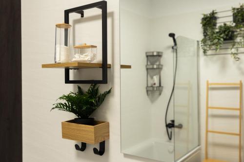 a bathroom with a shower with a mirror and a plant at Green Blooming Studio in Baia Mare