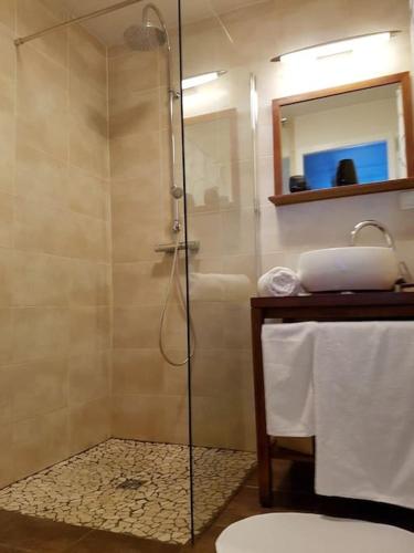 une salle de bain avec une douche avec un lavabo et un miroir dans l'établissement Superbe duplex, Pentes Croix-Rousse, Lyon 4ème, à Lyon