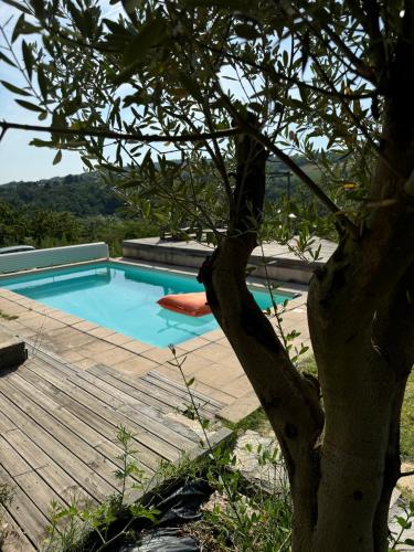 une piscine avec une terrasse en bois à côté d'un arbre dans l'établissement Le Montagnon, à Lupé