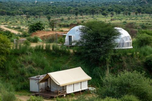 an aerial view of two domes in a field at Teela- The Glamping Resort, Jaipur in Udāsar