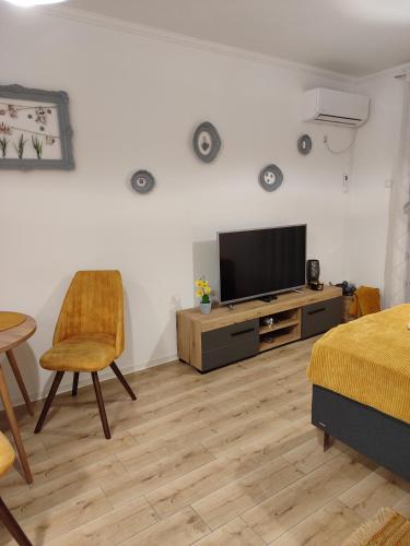 a living room with a television and a bed at Apartman Liliom in Subotica