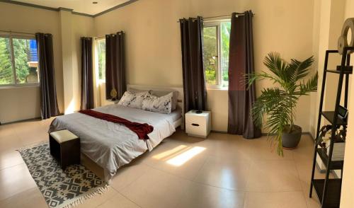 a bedroom with a bed and a plant in it at TLT Guesthouses - Dauin in Dauin