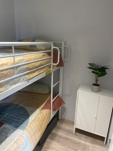 a bedroom with a bunk bed and a plant on a table at Self contained guest house in Kurmond