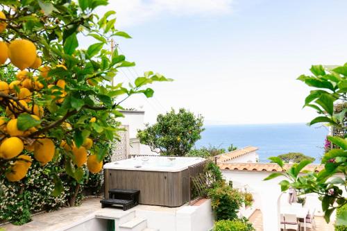 a hot tub in the middle of an orange tree at Villa Elena by MyVillaCollection in Capri