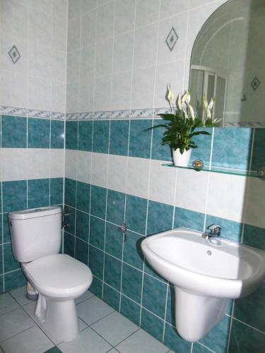 a bathroom with a toilet and a sink at Toris Inn in Třinec