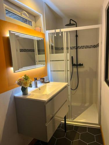 une salle de bain avec un lavabo et une douche dans l'établissement Maison de Ville Nid Cosy, à Chavanay