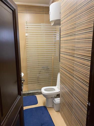 カイロにあるprivate room in shared apartment New Cairoのバスルーム(トイレ付)、青いラグ