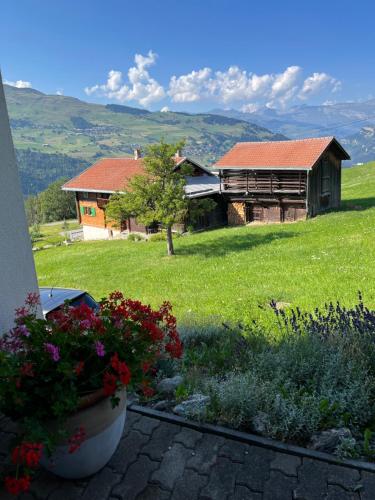 a view of a house and a yard with flowers at Casa Runs 7113 Camuns, Val Lumnezia in Uors
