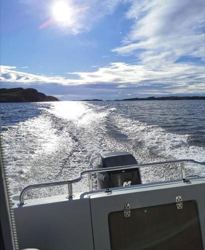a dog in the back of a boat on the water at Eksklusiv hytte i skjærgården! in Austevoll