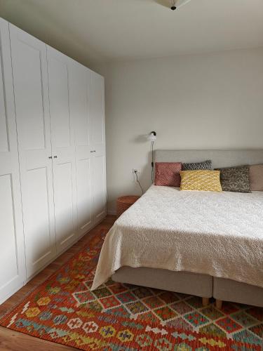 a bedroom with a bed with white cabinets and a rug at Casa Alla Vigna - Lugano in Pregassona