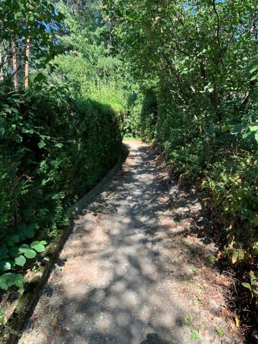 a dirt road with bushes and trees on it at Agréable T2 en rez de jardin à 2 pas du plan d'eau in Embrun