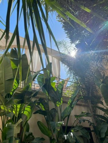 Zahrada ubytování La Maison du Trident en Camargue Piscine et Jacuzzi