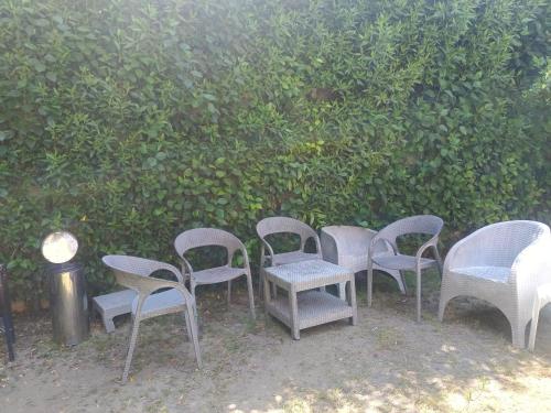 a group of chairs and tables in front of a hedge at Villa Ahmed Youssef king marrouit in King Mariout