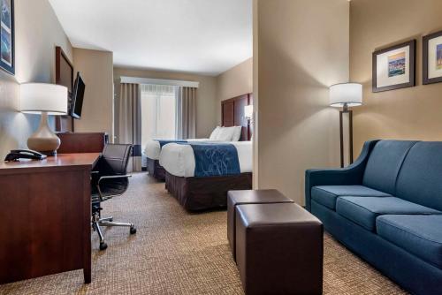 Area soggiorno di Comfort Suites Pell City I-20 exit 158