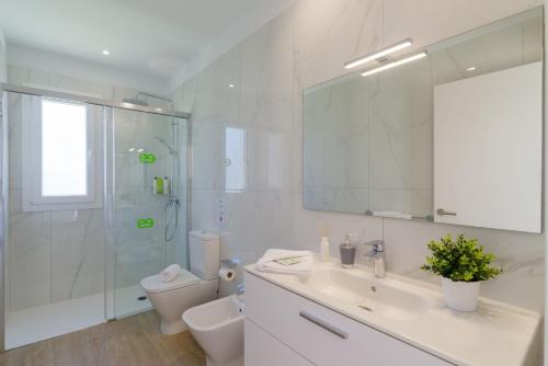 Un baño con lavabo, ducha e inodoro. en Ereza Villas Artenara, en Playa Blanca