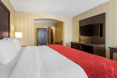 Letto o letti in una camera di Comfort Suites Highlands Ranch Denver Tech Center Area