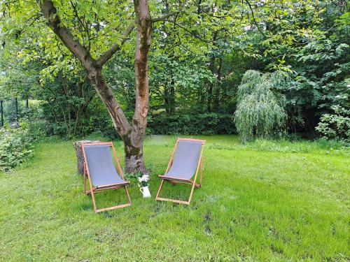 two chairs sitting in the grass next to a tree at Chata U Táboráků in Frýdek-Místek