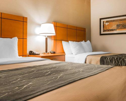 a hotel room with two beds and a lamp at Comfort Inn Metro Airport in Romulus