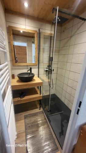 une salle de bain avec un lavabo et une douche en verre dans l'établissement MONT BLANC Soleil C-4, à Manigod