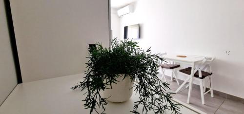 une chambre blanche avec une table et une plante en pot dans l'établissement 3 Le Saint Joseph studio in city center of Antibes with AC, à Antibes