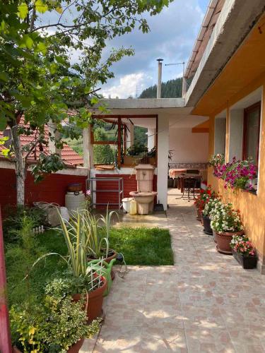 a patio with potted plants and a house at Angelina in Nova Varoš