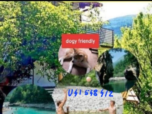 Apartma NADIŽA