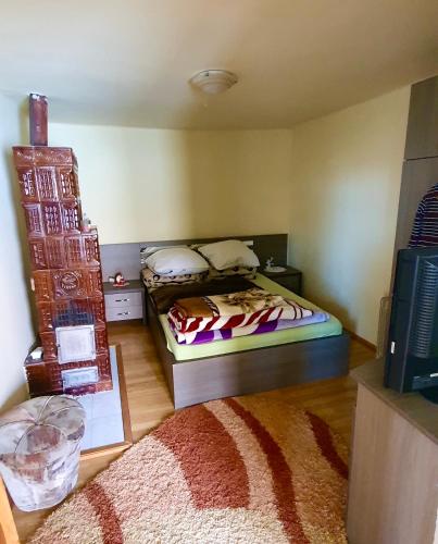 a bedroom with two beds and a television in it at Eduard House in Bumbeşti-Jiu