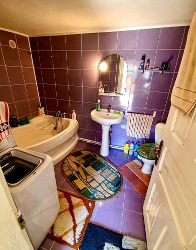 a bathroom with a sink and a toilet and a bath tub at Eduard House in Bumbeşti-Jiu