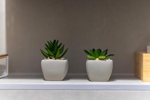 two plants in white pots sitting on a shelf at Star Apartments in Tar